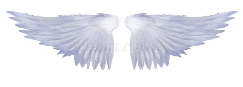天使翼库存图片 图片包括有资源 仙境 绘画 天堂 神秘 羽毛 数字式 神仙 六翼天使