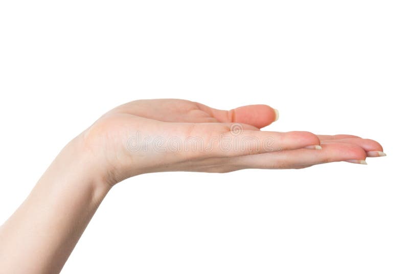 女性在白色隔绝的手给的或要的姿态库存图片 图片包括有女性在白色隔绝的手给的或要的姿态