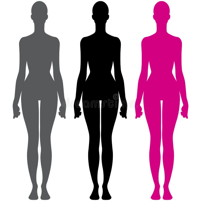 女性身体解剖学剪影传染媒介例证向量例证 插画包括有女性身体解剖学剪影传染媒介例证 114414453