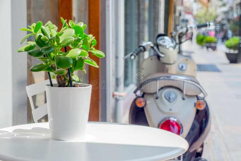带椅子的白色圆桌 在室外靠近咖啡厅 酒吧 餐厅白色绿色植物的简单桌布装饰库存照片 图片包括有自助餐厅 自治权