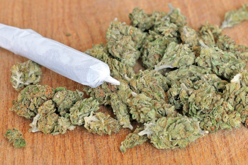 干燥大麻芽库存图片 图片包括有