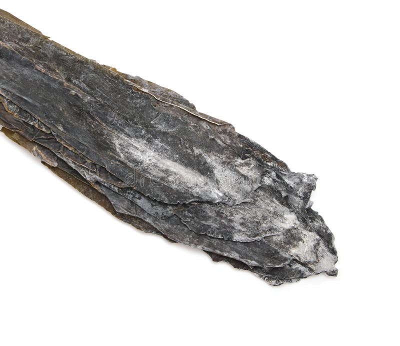 干燥海草大士kombu 昆布属植物angustata 库存照片 图片包括有