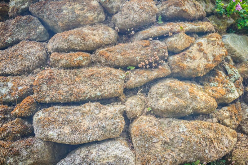 干燥生苔石墙纹理背景ol布朗石墙库存照片 图片包括有不用灰泥只用石块构造 石工 本质 粗砺