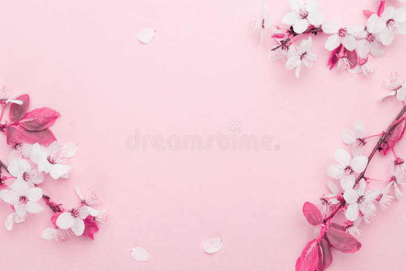 花开春背景蓝与四月花自然 花开树的美景复活节阳光库存图片 图片包括有抽象 复活节