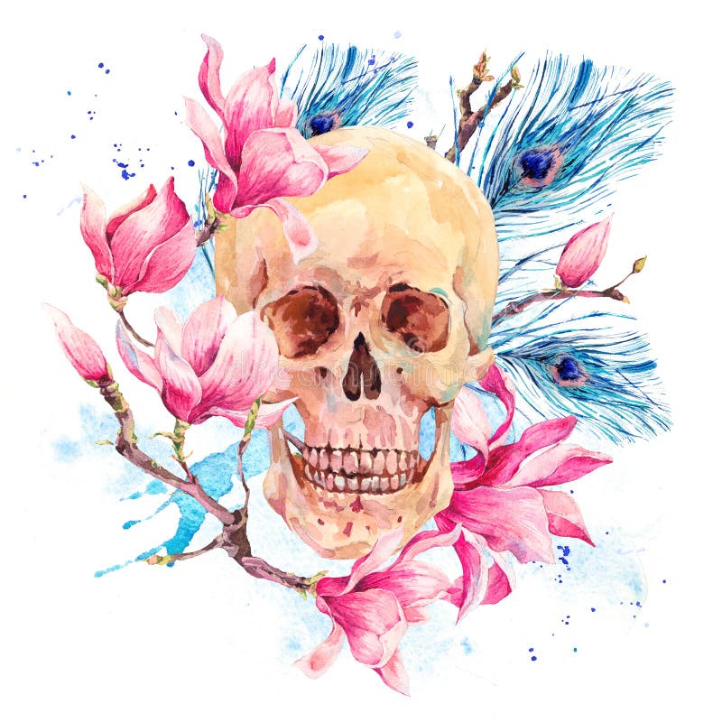 水彩人的头骨和桃红色花木兰库存例证 插画包括有 水彩人的头骨和桃红色花木兰库存例证 插画包括有