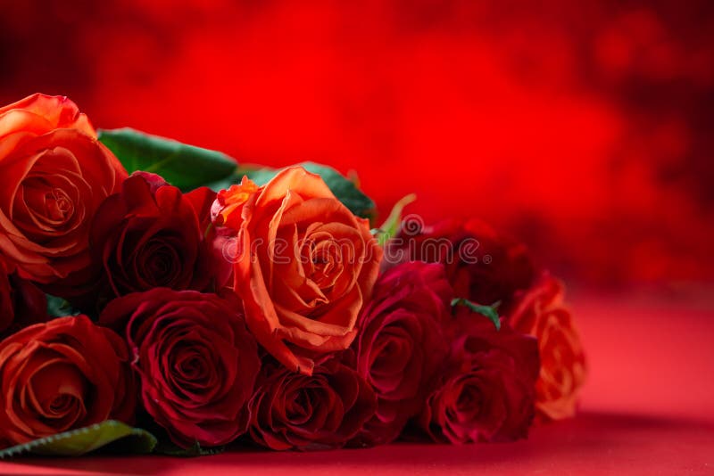 彩色背景上红玫瑰的节日花束 祝贺2月14日情人节爱与浪漫库存照片 图片包括有本质 开花