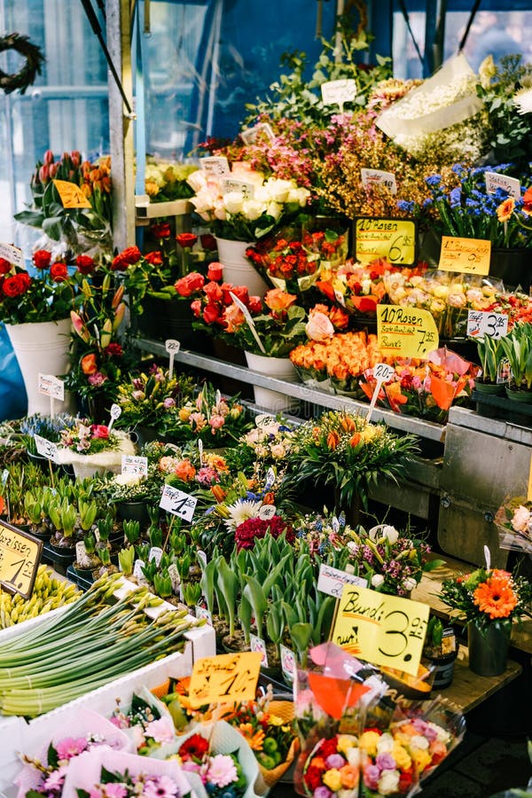 德国慕尼黑 二零一八年三月九日 花店德国花摊花店柜台库存图片 图片包括有花束 新鲜