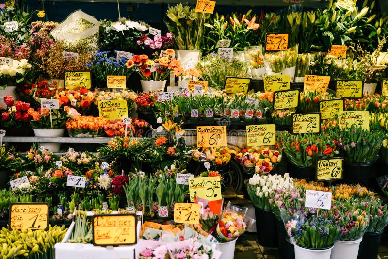 德国慕尼黑 二零一八年三月九日 花店德国花摊花店柜台库存图片 图片包括有花束 新鲜 德国慕尼黑 二零一八年三月九日 花店德国花摊花店柜台库存图片 图片包括有花束 新鲜