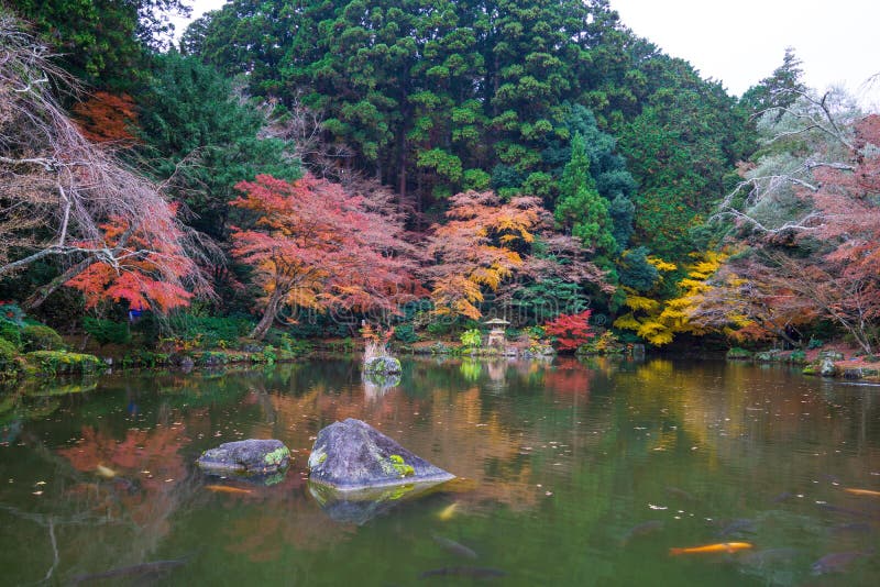 成田山新寺附属成田山公园 成田市颇受欢迎的佛教寺庙库存图片 图片包括有