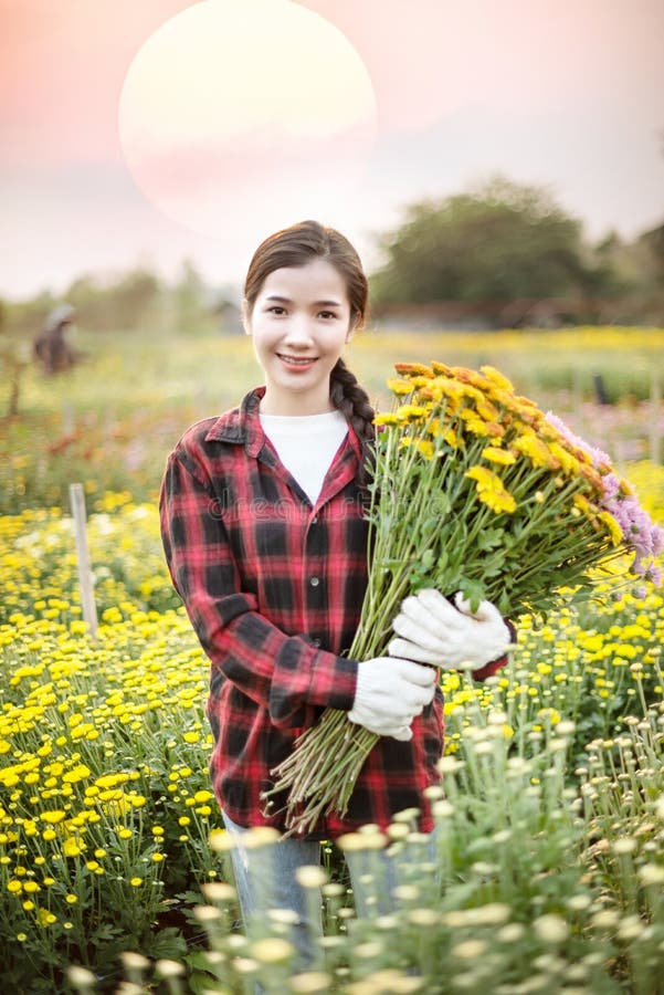 手持花束花的妇女库存照片 图片包括有女性 庭院 藏品 一堆 商业 关心 快乐 绿色 手持花束花的妇女库存照片 图片包括有女性 庭院 藏品 一堆 商业 关心 快乐 绿色