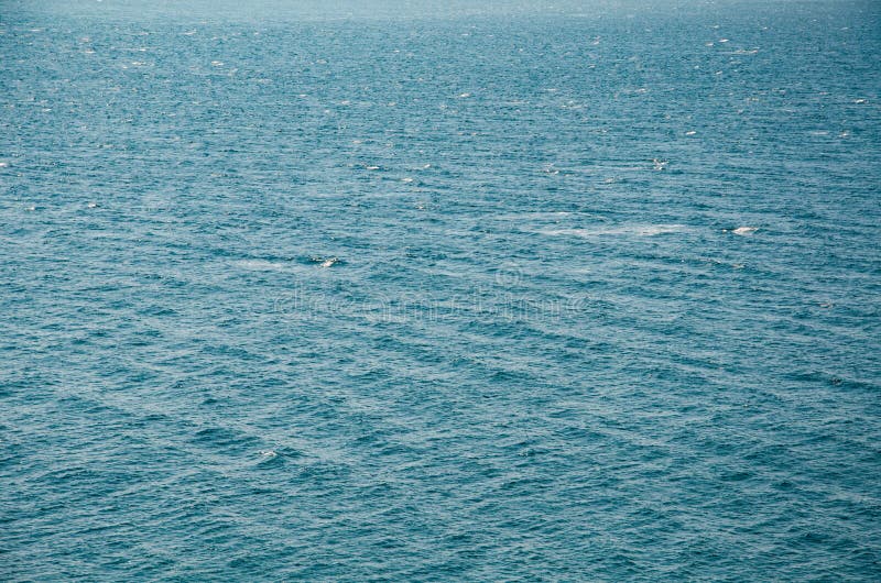 抽象海背景 大海波纹表面库存图片 图片包括有抽象海背景 大海波纹表面