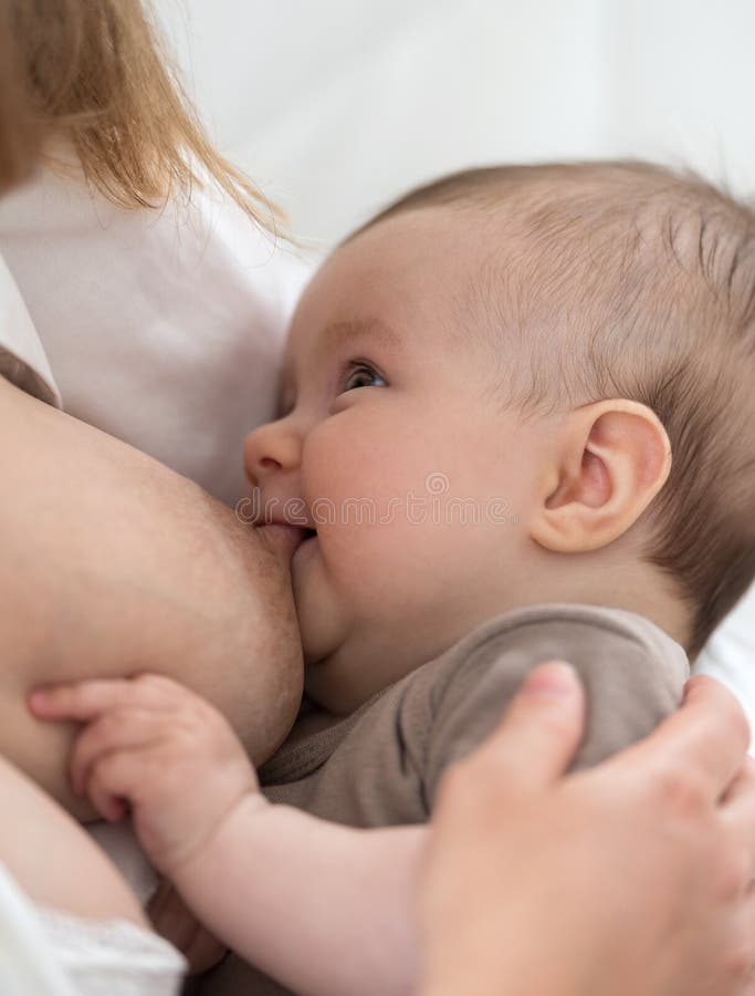 白种人母亲哺乳的女婴库存照片 图片包括有户内 成人 是的 播种 特写镜头 藏品 子项