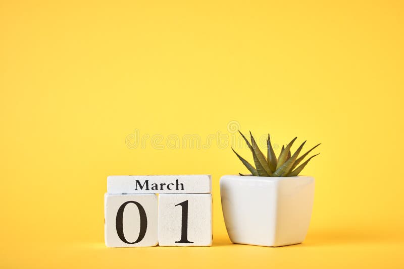 日期为3月1日的木块日历黄色背景上植物弹簧概念库存图片 图片包括有弹簧概念 日期为3月1日的木块日历黄色背景上植物