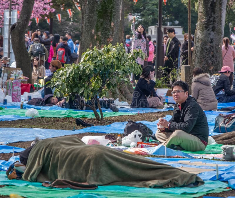 日本东京上野公园花南樱花期等待男子编辑类库存照片 图片包括有樱桃 本质 日语 自然 庭院 日本东京上野公园花南樱花期等待男子编辑类库存照片 图片包括有樱桃 本质 日语 自然 庭院