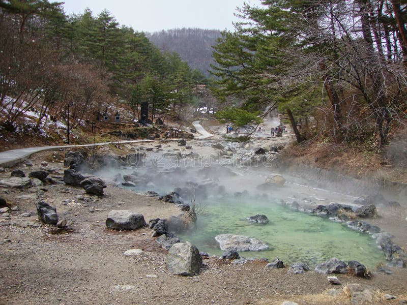 日本东京的圣之河原公园库存图片 图片包括有户外 夏天 结构树 旅行 东京 环境 岩石