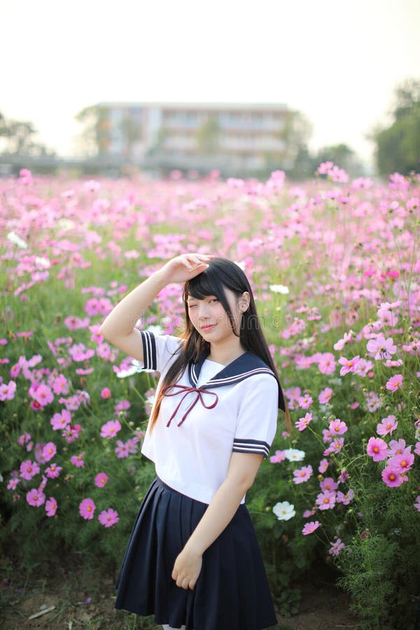 日本女校服上粉色宇宙花画像库存照片 图片包括有粉红色 学校 女孩 设计 背包 查找 汉语