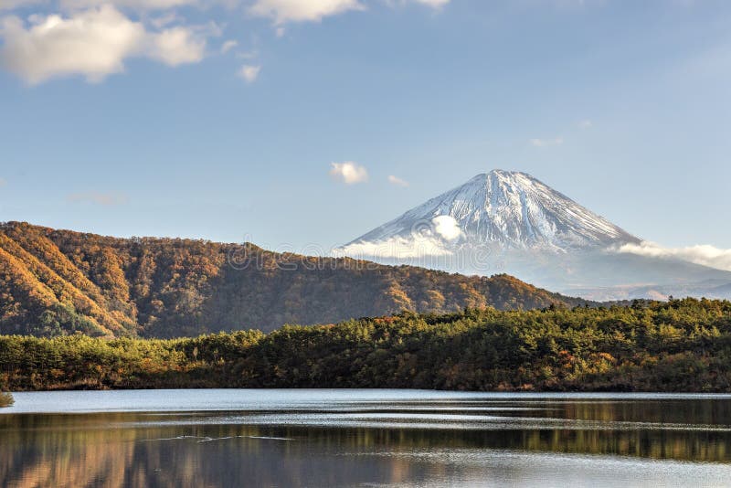 日本山梨西子湖的富士山库存照片 图片包括有本质 室外 秋天 峰顶 晴朗 结构树 夏天