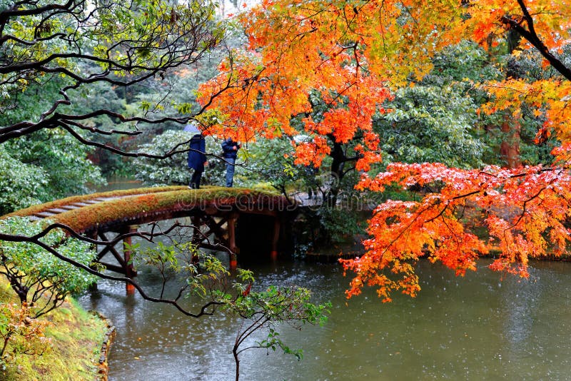 日本庭院的秋天风景在桂离宫皇家公园在京都日本库存照片 图片包括有 日本庭院的秋天风景在桂离宫皇家公园在京都日本库存照片 图片包括有