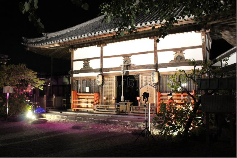 夜景照耀着300年的樱花树 在山坡上 在美丽的蓝色暮色天空下 在尼拉萨克的阳光下库存照片 图片包括有吸引力 喜怒无常 夜景照耀着300年的樱花树 在山坡上 在美丽的蓝色暮色天空下 在尼拉萨克的阳光下库存照片 图片包括有吸引力 喜怒无常
