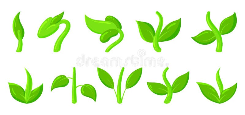 春绿草芽植物卡通图标组向量例证 插画包括有生态 玻色子 生物 查出 平面 问题的 发展