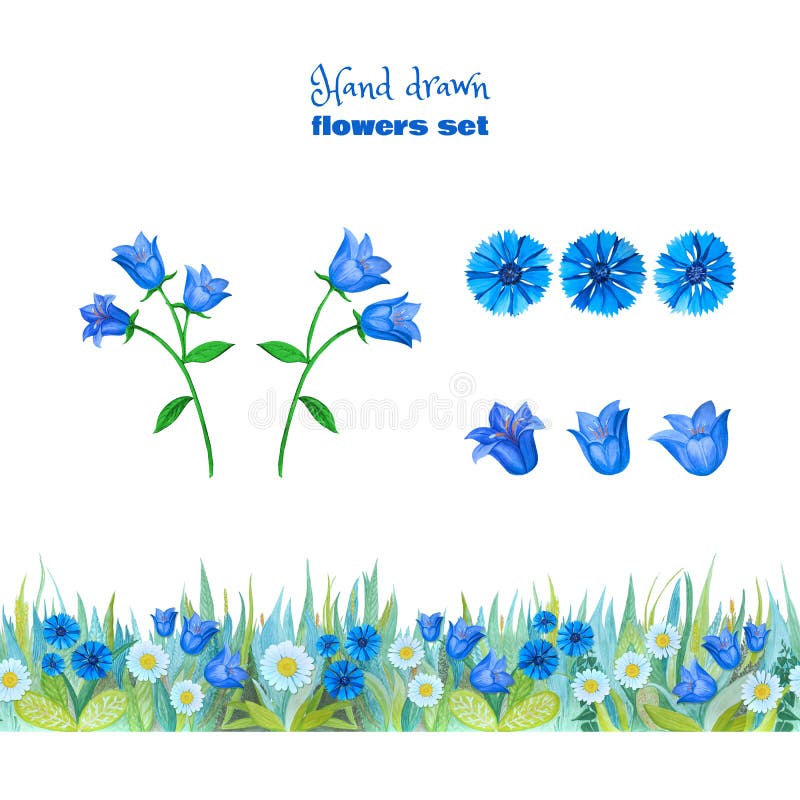 设置蓝色和红色花鸦片 郁金香 蓝色响铃 矢车菊无缝的花卉边界库存照片 图片包括有形状 模式