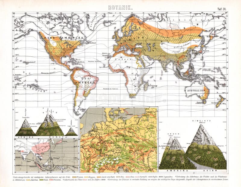 显示地方生物群系的比尔德植物的世界地图库存例证 插画包括有