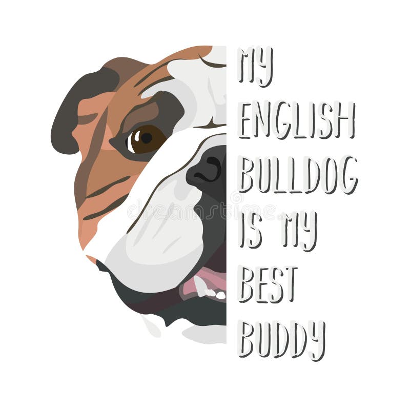 插图犬带呼吸器的英国斗牛犬向量例证 插画包括有牛头犬 人工呼吸机 流行病 英语 流行 交配动物者 插图犬带呼吸器的英国斗牛犬向量例证 插画包括有牛头犬 人工呼吸机 流行病 英语 流行 交配动物者