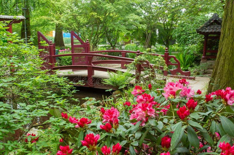 5月勒沃库森的日本花园库存图片 图片包括有庭院 绽放 反映 春天 开花 本质 灌木