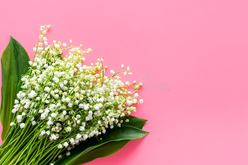 5月花铃兰bouqet在粉红彩笔背景顶视图拷贝空间开花库存照片 图片包括有 5月花铃兰bouqet在粉红彩笔背景顶视图拷贝空间开花库存照片 图片包括有