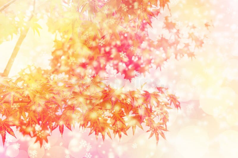 11月背景库存照片 图片包括有 11月背景库存照片 图片包括有
