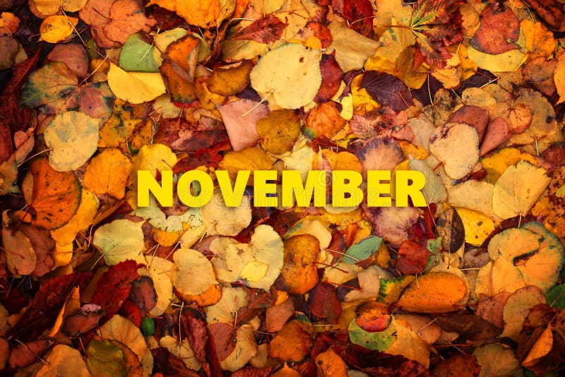 11月背景库存照片 图片包括有 11月背景库存照片 图片包括有