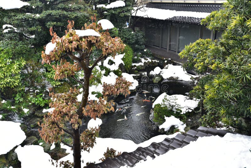 有白色雪的日本庭院库存图片 图片包括有有白色雪的日本庭院 有白色雪的日本庭院库存图片 图片包括有有白色雪的日本庭院