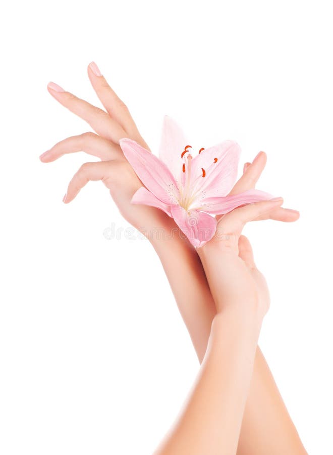 有百合花的女性现有量库存图片 图片包括有 有百合花的女性现有量库存图片 图片包括有