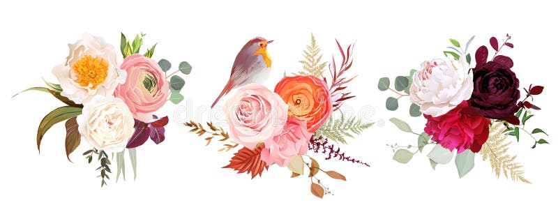桃红玫瑰 白色和紫红色的牡丹 橙红毛茛 香石竹向量例证 插画包括有混合 花束 极好 花卉 桃红玫瑰 白色和紫红色的牡丹 橙红毛茛 香石竹向量例证 插画包括有混合 花束 极好 花卉