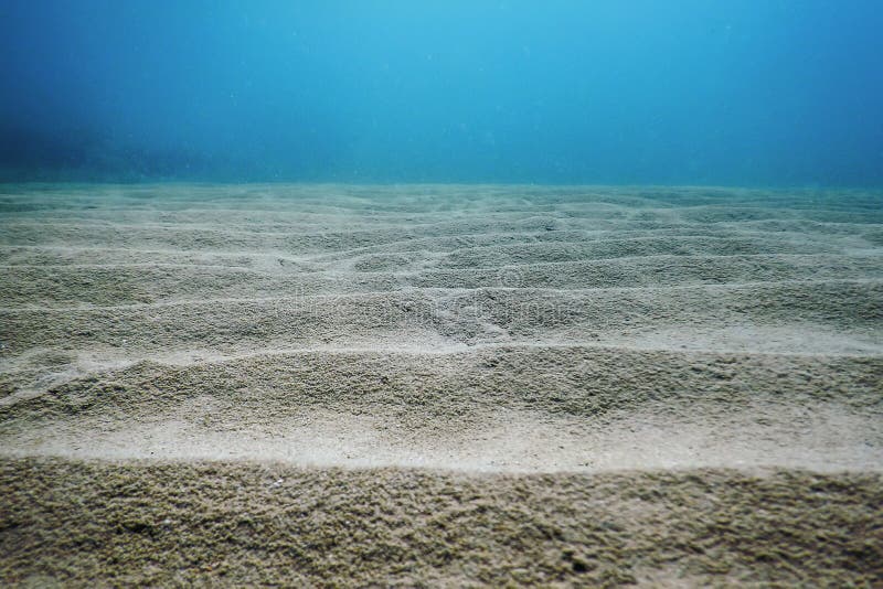 桑迪海底水中背景库存照片 图片包括有深深 海洋 海底 加勒比 空间 结算 海运 场面 桑迪海底水中背景库存照片 图片包括有深深 海洋 海底 加勒比 空间 结算 海运 场面