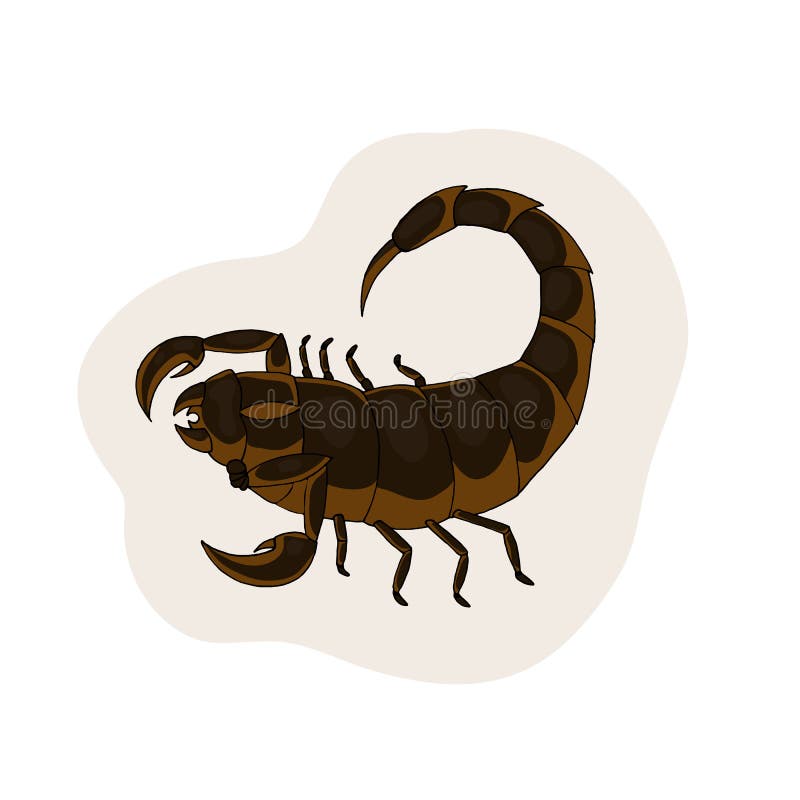 Brown Scorpion 向量例证 插画包括有空白 图画 有刺的动物 毒物 昆虫 天蝎座 Brown Scorpion 向量例证 插画包括有空白 图画 有刺的动物 毒物 昆虫 天蝎座