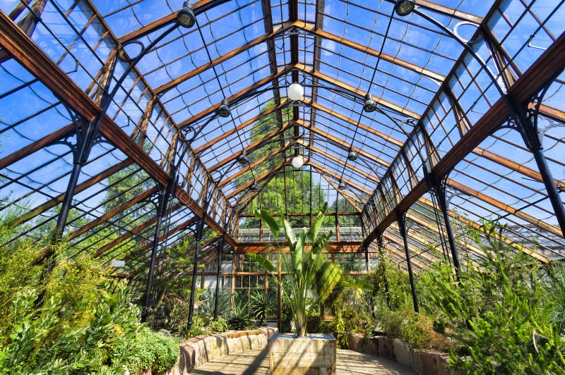植物园 温室库存照片 图片包括有科学 结构树 玻色子 玻璃 英国 剑桥 夏天 绽放