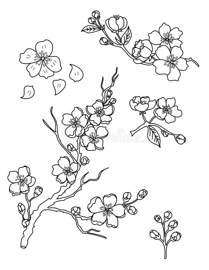 樱花在背景设置的花传染媒介向量例证 插画包括有孤立 蓝色 云彩 五颜六色 绿色 金子 樱花在背景设置的花传染媒介向量例证 插画包括有孤立 蓝色 云彩 五颜六色 绿色 金子