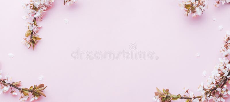 樱花柔和的粉红色背景中的四月花自然与春樱花八号旗 开心库存图片 图片包括有横向 任意 樱花柔和的粉红色背景中的四月花自然与春樱花八号旗 开心库存图片 图片包括有横向 任意