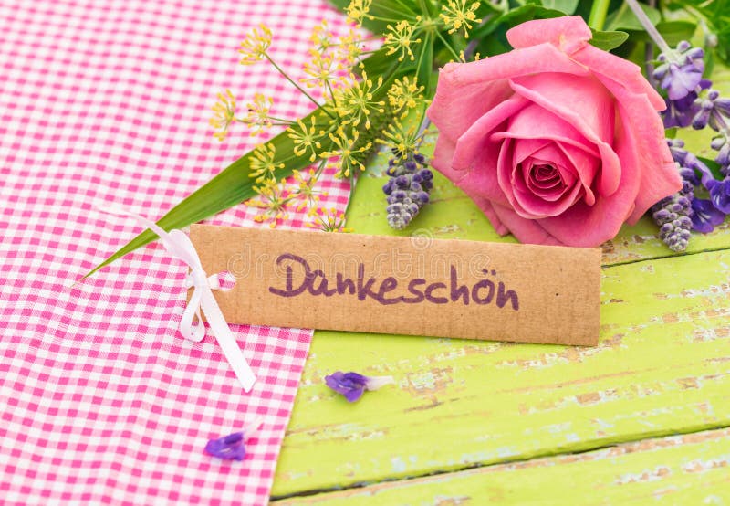 与德国词 Danke手段的卡片感谢您和浪漫桃红色玫瑰花库存图片 图片包括有