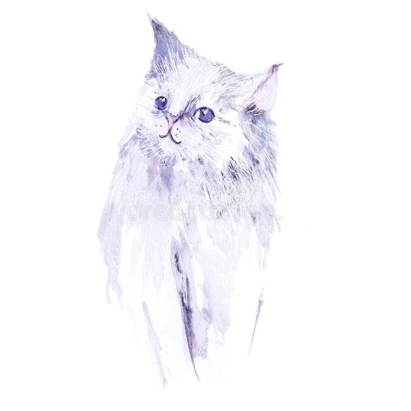 水彩猫插图白色蓬松的白色蓝眼睛白色背景猫库存照片 图片包括有晚上 国界的 蓝色 森林 查出 水彩猫插图白色蓬松的白色蓝眼睛白色背景猫库存照片 图片包括有晚上 国界的 蓝色 森林 查出
