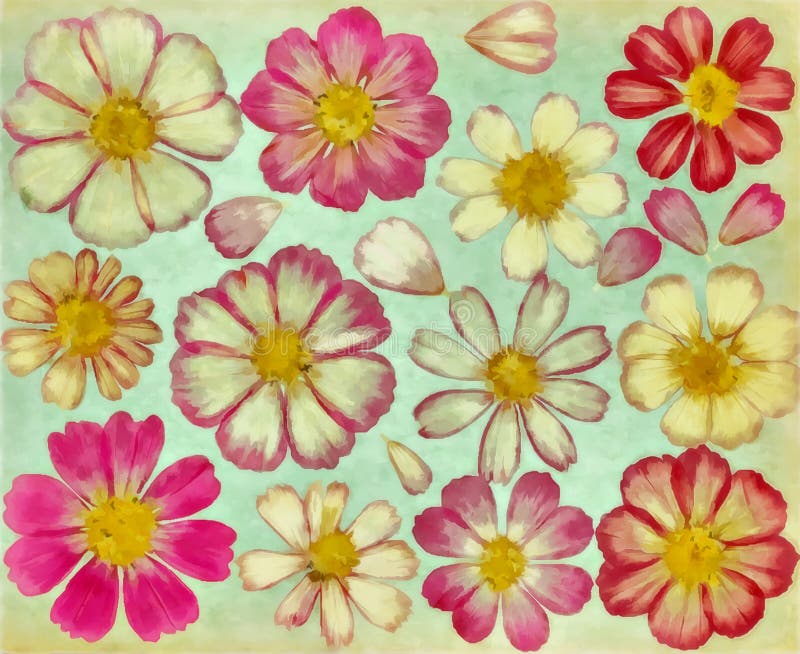 水彩画花卉水彩背景cosmos Flowers Painted In Watercolor 具有花宇宙元素的花图案库存例证 插画包括有本质 灌木 水彩画花卉水彩背景cosmos Flowers Painted In Watercolor 具有花宇宙元素的花图案库存例证 插画包括有本质 灌木