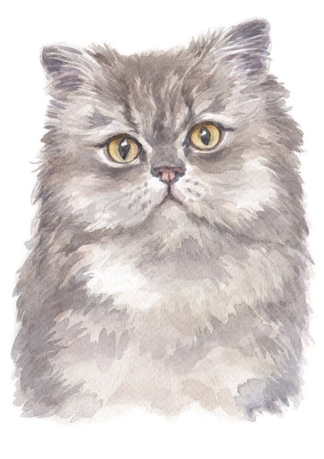 Corda Piatto Giorni Della Settimana Scialle 猫uno Iato Mal Di Testa Chirurgo Mercurio Corda Piatto Giorni Della Settimana Scialle 猫uno Iato Mal Di Testa Chirurgo Mercurio