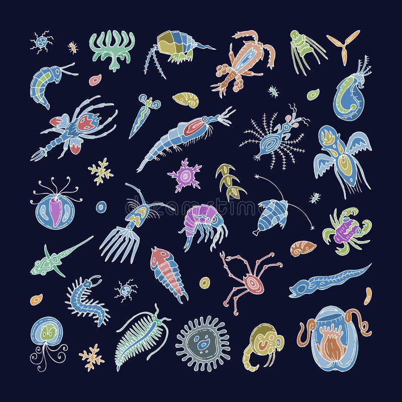 浮游生物传染媒介水生浮游植物和浮游生物的微生物在显微镜例证套微细胞下向量例证 插画包括有传记 实验室