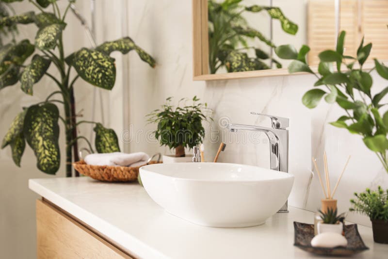 浴室中的水槽和绿色植物室内设计库存图片 图片包括有本质 叶子 增长 庭院 浴室 新鲜