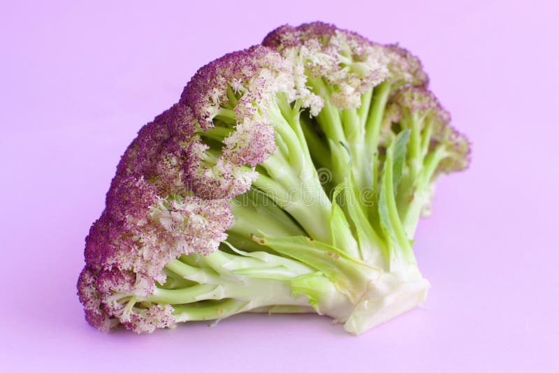 淡紫色背景中的鲜生紫花椰菜库存图片 图片包括有绿色 生气勃勃 饮食 新鲜 问题的 概念性