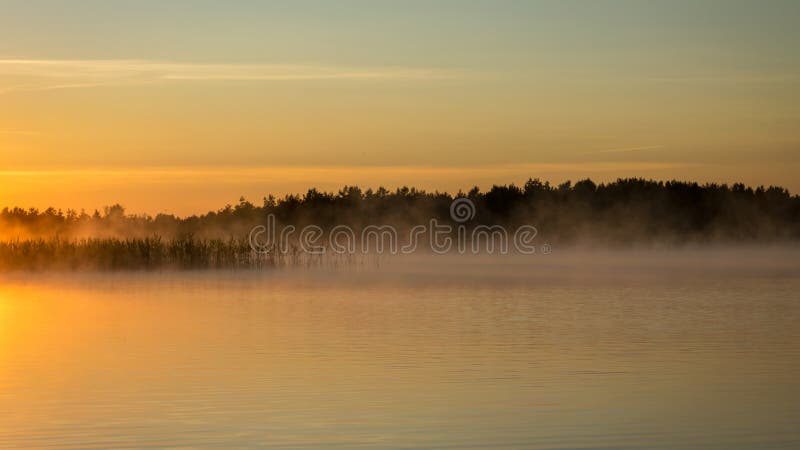 湖上清晨的雾天漂亮的壁纸湖中飘着神秘的雾夏日库存照片 图片包括有背包 日出 神秘主义者