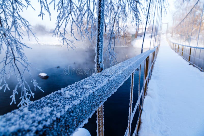 与冷的河的主要镇静冬天风景 包围由树和芦苇 盖用树冰和雪欧洲冬天库存照片 图片包括有北部 横向