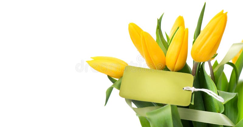 照顾 S天假日春天黄色郁金香与空白的贺卡的花束美丽的郁金香开花花束库存图片 图片包括有看板卡 问候