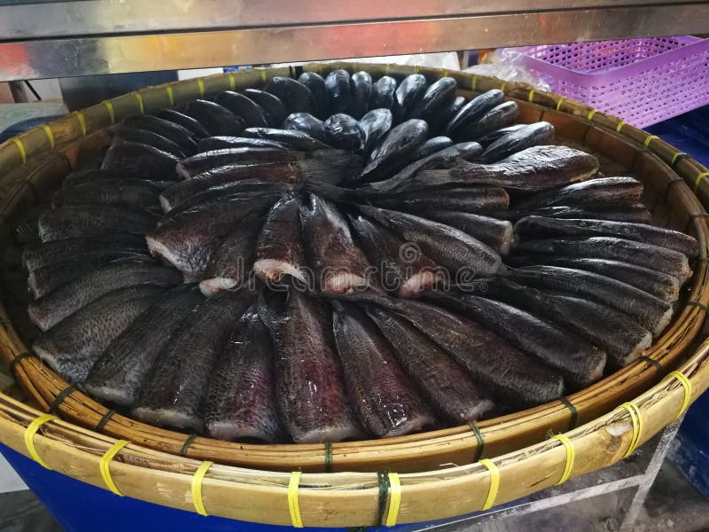 熏制的干燥鱼镶边snakehead鱼库存图片 图片包括有不同 干燥 可口 厨师 食物 烹调